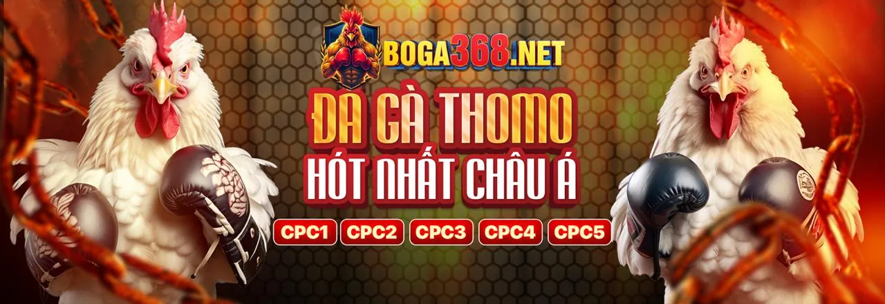 Tổng quan câu lạc bộ VIP 01win55 nhà cái